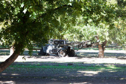 Sahuarita Pecan Festival Pecan Tree Shaker During Orchard Rides