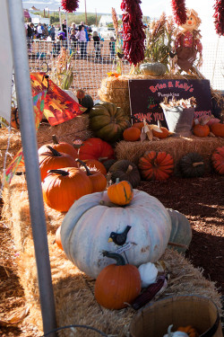 Sahuarita Pecan Festival Marketplace