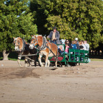 Sahuarita Pecan Festival Orchard Rides