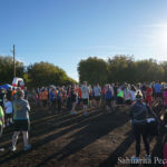 2017 Pecan Classic / Nut Run