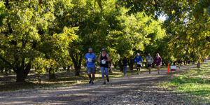 2017 Pecan Classic / Nut Run