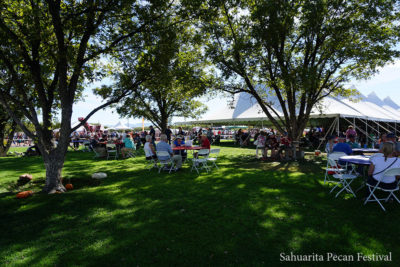 2017 Sahuarita Pecan Festival