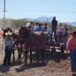 2017 Sahuarita Pecan Festival