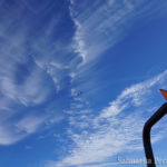 2017 Sahuarita Pecan Festival Flyover