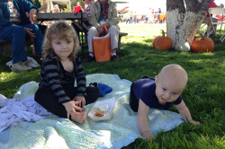 Sahuarita Pecan Festival 2014