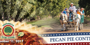 Pecan Pie Contest 2017