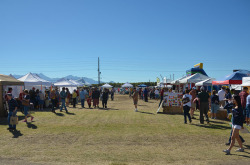 2014 Sahuarita Pecan Festival