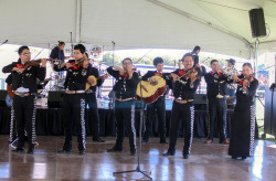 Sahuarita Pecan Festival 2014