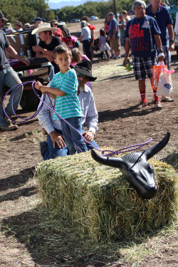 Sahuarita Pecan Festival 2014