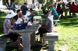 Sahuarita Pecan Festival 2014