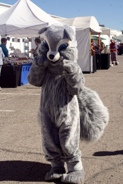 Sahuarita Pecan Festival 2014