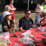 Sahuarita Pecan Festival 2015