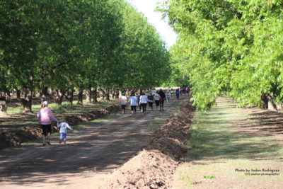 Green Valley Pecan Company Nut Run 5k/Walk