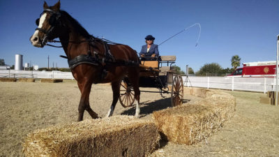 Sahuarita Pecan Festival 2016