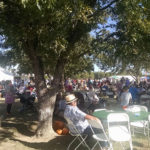 Sahuarita Pecan Festival 2016