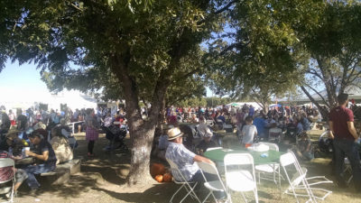 Sahuarita Pecan Festival 2016